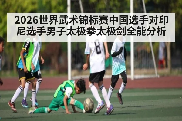 2026世界武术锦标赛中国选手对印尼选手男子太极拳太极剑全能分析